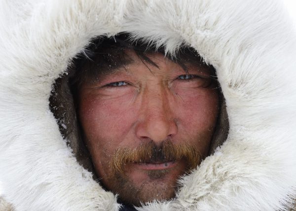 Éleveurs Nénets conduisant leurs rennes vers de nouveaux pâturages, District de Yar-Sale, Péninsule du Yamal, Sibérie occidentale, Russie