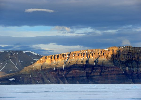 Narvals, île de Baffin, Nunavut, Canada