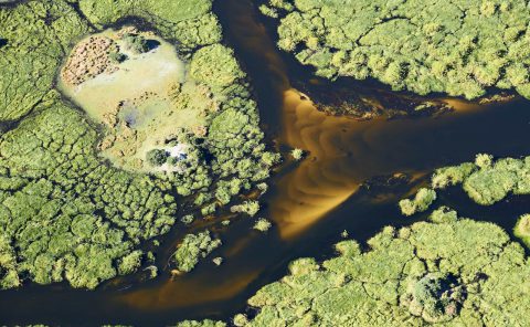 Delta de l'Okavango, vue aérienne d'un chenal, Botswana, Afrique