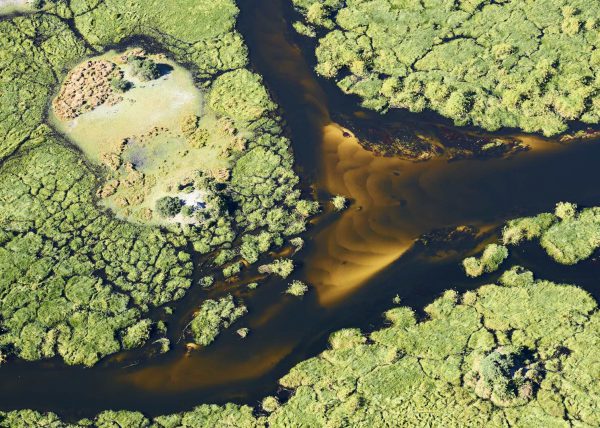 Delta de l'Okavango, vue aérienne d'un chenal, Botswana, Afrique